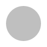 punto gris